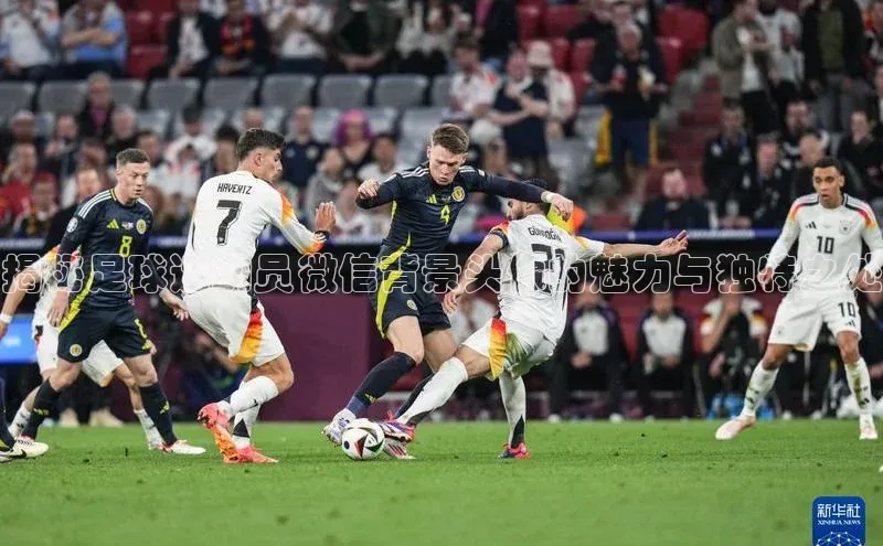 EON4代理百度取证