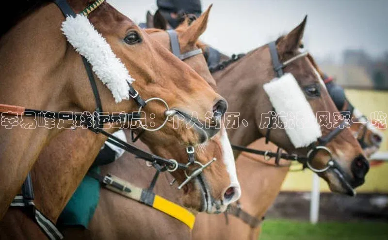 EON4官网百度识图