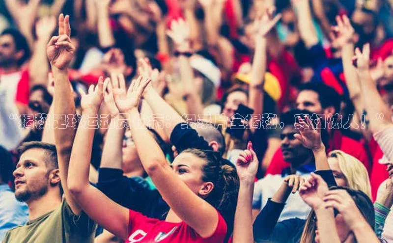 意昂4代理百度翻译App