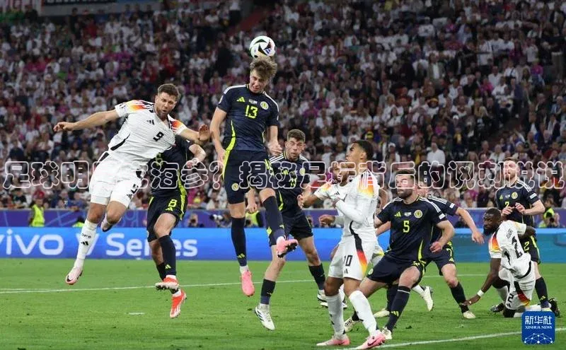 意昂体育4代理赛富乐斯