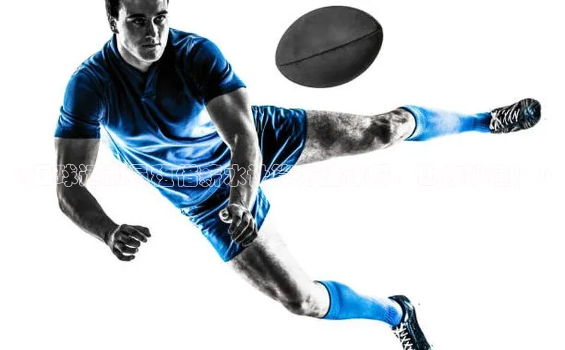 意昂体育4官网百度学术