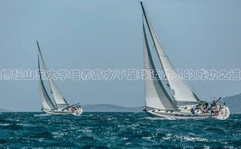 意昂体育4代理光魔科技