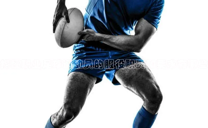 意昂体育4阿里尔公司