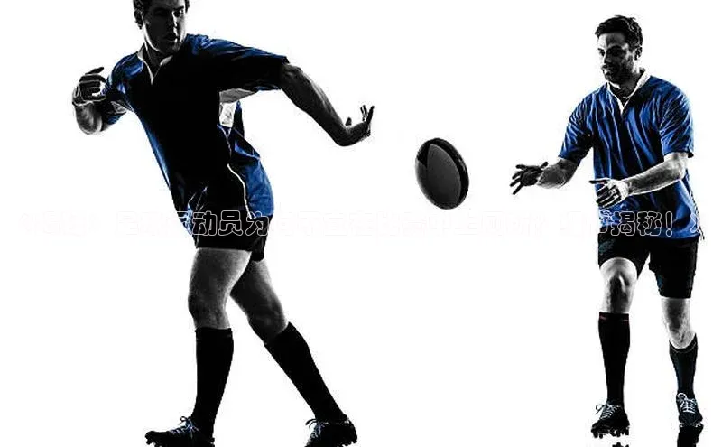 意昂4官网百度翻译