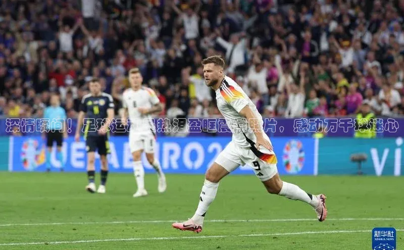 意昂4代理百度翻译App