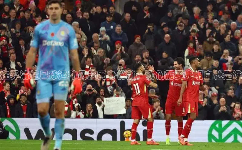 意昂体育4代理赛富乐斯