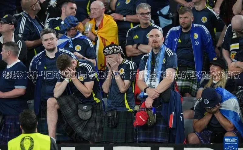 意昂体育4代理赛富乐斯