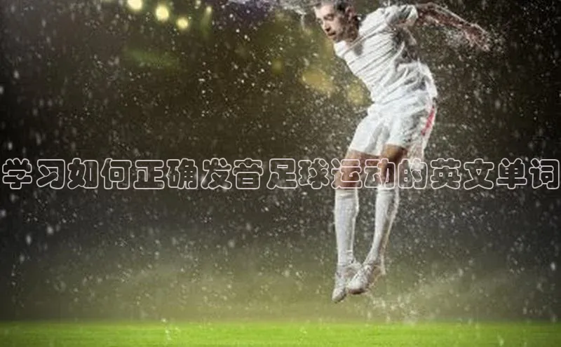 意昂体育4代理赛富乐斯