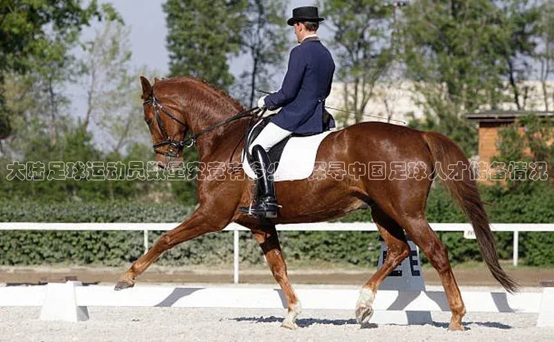 意昂体育4官网百度智能云