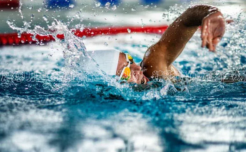 意昂体育4代理光魔科技