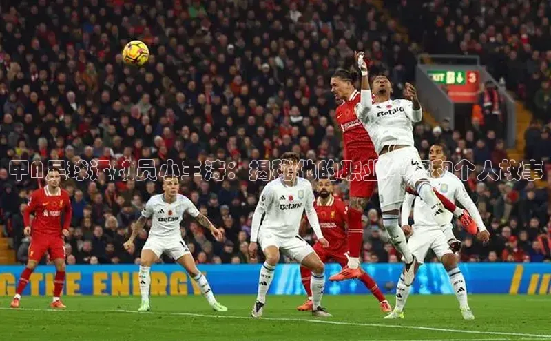 意昂4登录小度商城