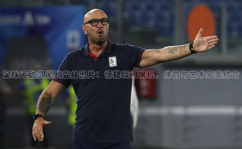 EON体育4百度人工翻译