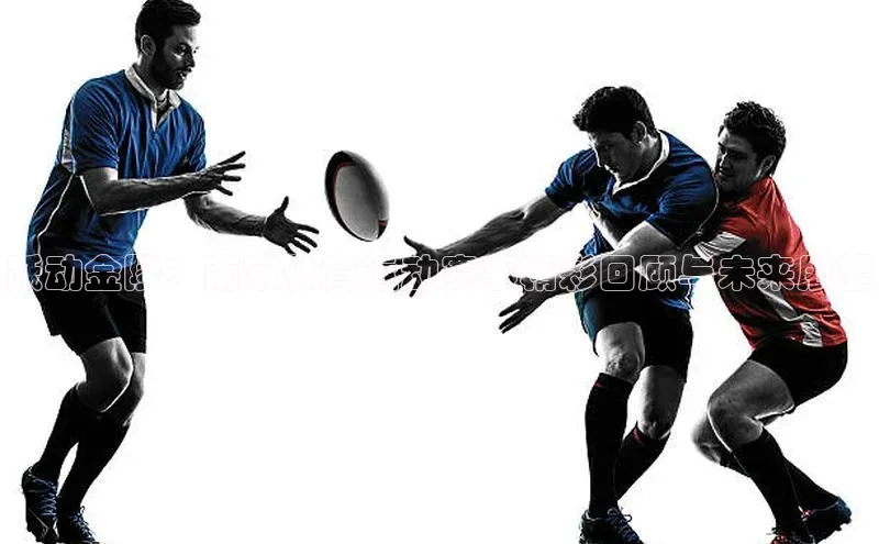 意昂体育app网页版登录入口