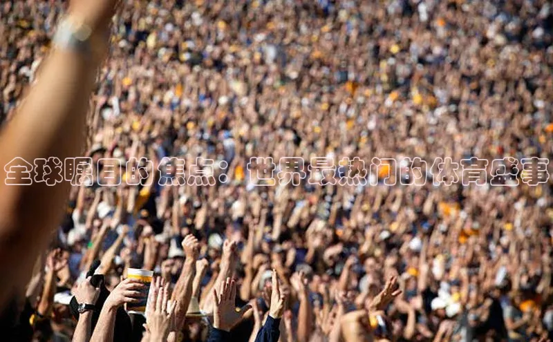 意昂体育平台APP