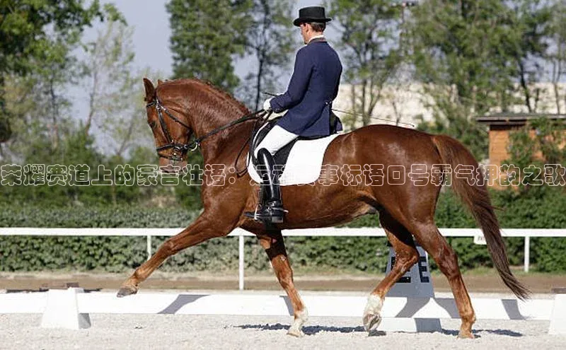 意昂体育官网注册